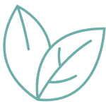 Well Being Image 3